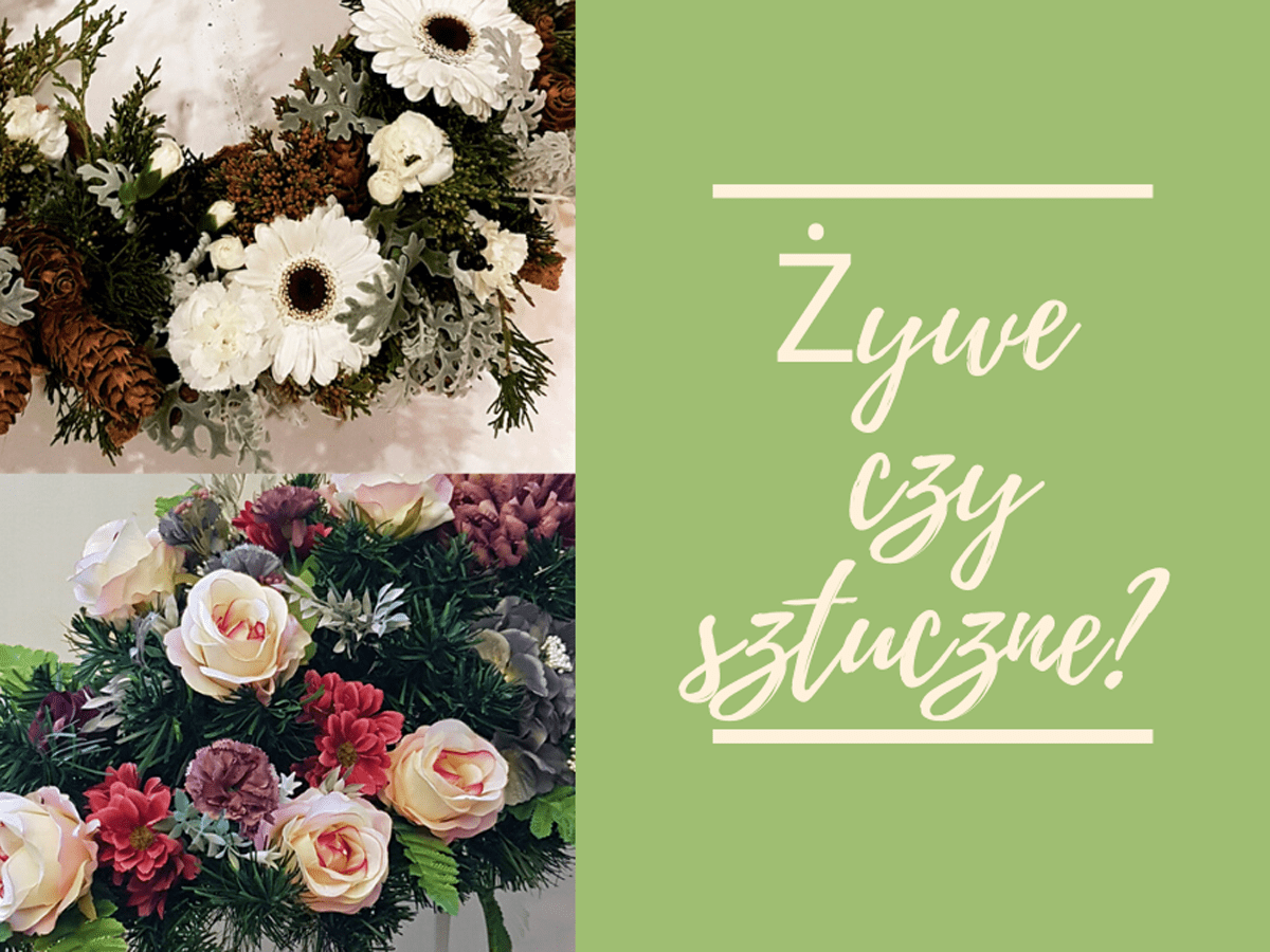 Żywe czy sztuczne2