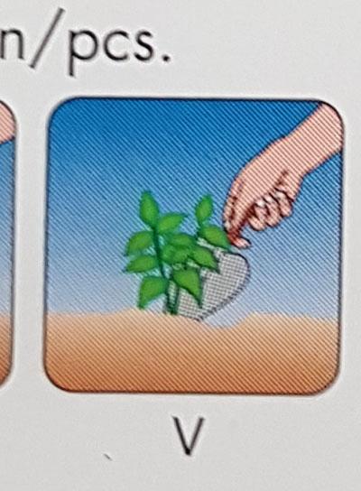 ikony przedstawiające pikowanie roślin